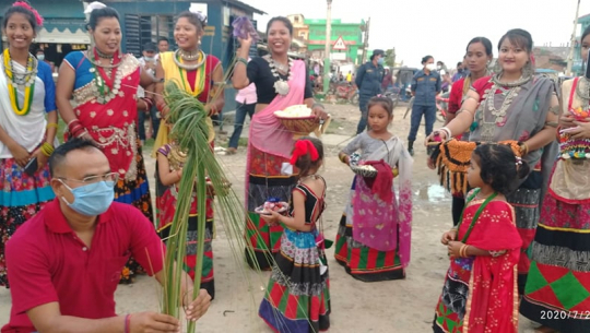 थारु समुदायले आज मौलिक पर्व ‘गुरही’ मनाउँदै