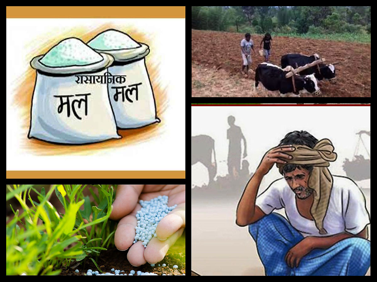 सिजनमै  रासायनिक मल आपूर्ति नहुँदा किसान चिन्तित